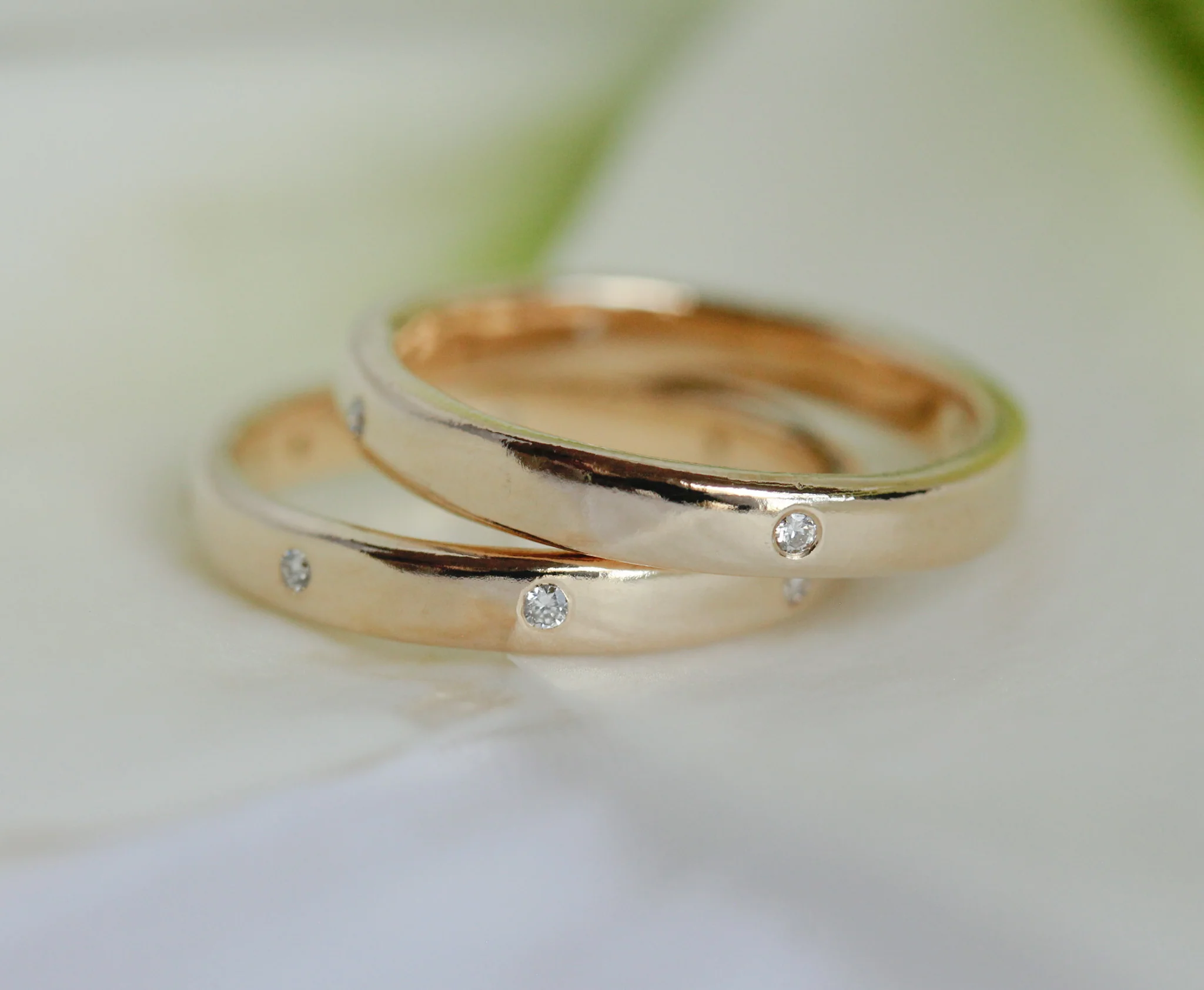 The Compass Rose Band - Mitchell's Manufacturing Jewel